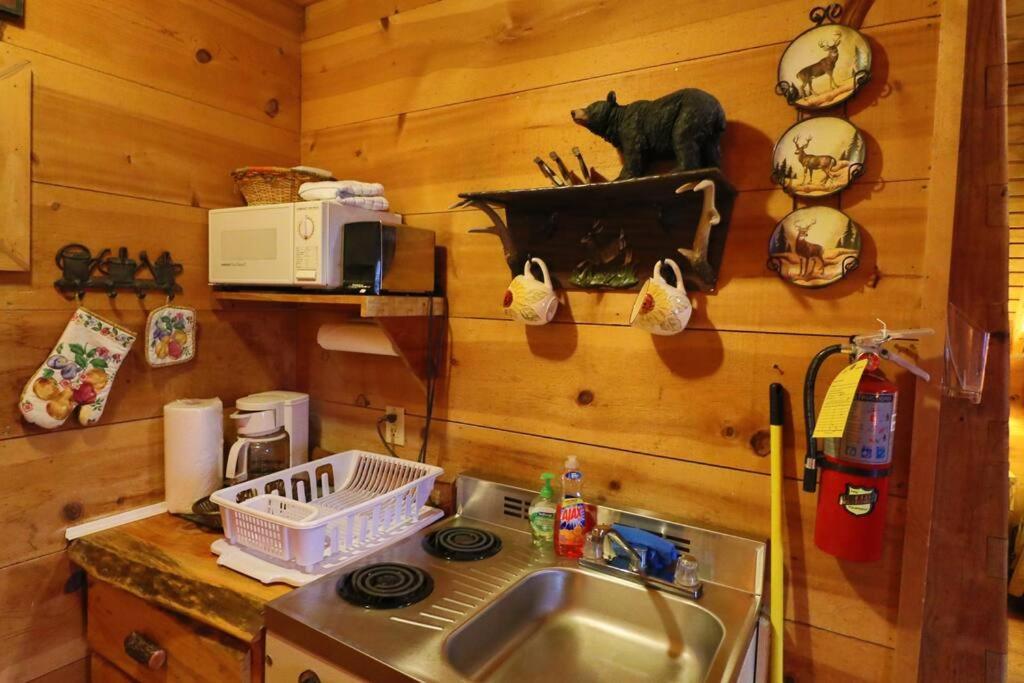 Cozy Cabin W/ Fireplace 3 Minutes To Helen! #2. 외부 사진