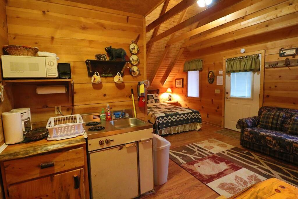 Cozy Cabin W/ Fireplace 3 Minutes To Helen! #2. 외부 사진